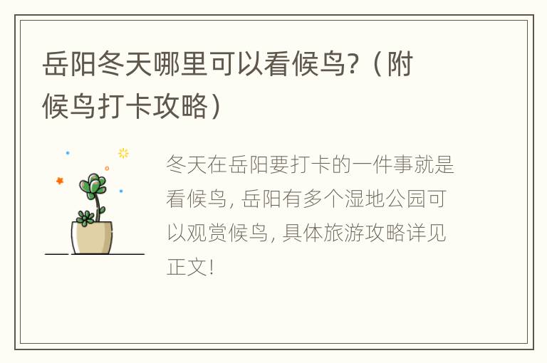 岳阳冬天哪里可以看候鸟？（附候鸟打卡攻略）
