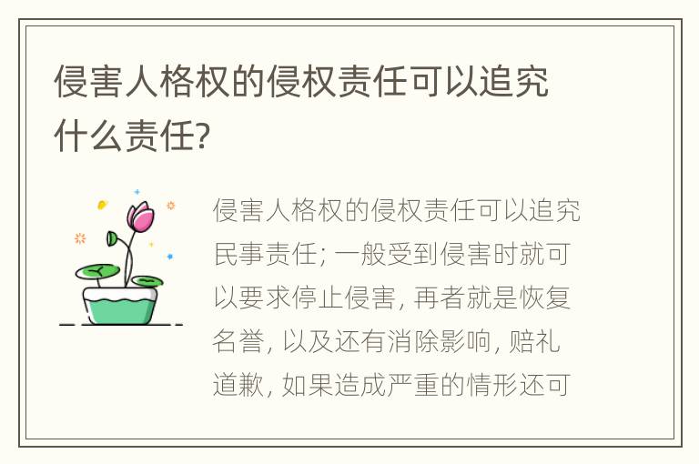 侵害人格权的侵权责任可以追究什么责任？