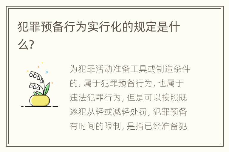 犯罪预备行为实行化的规定是什么？