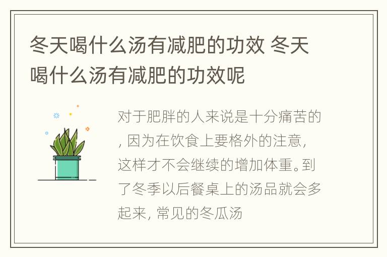 冬天喝什么汤有减肥的功效 冬天喝什么汤有减肥的功效呢