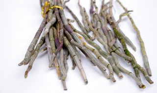 种植铁皮石斛方法 铁皮石斛怎么种植
