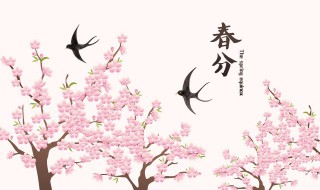春分节气的特点是什么 关于春分节气的特点介绍