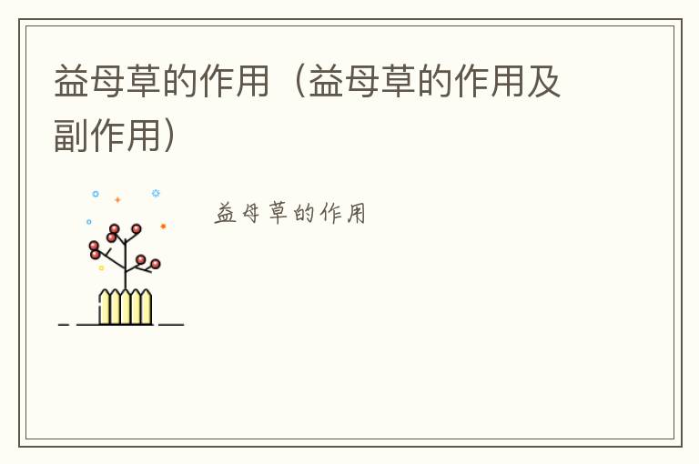 益母草的作用（益母草的作用及副作用）