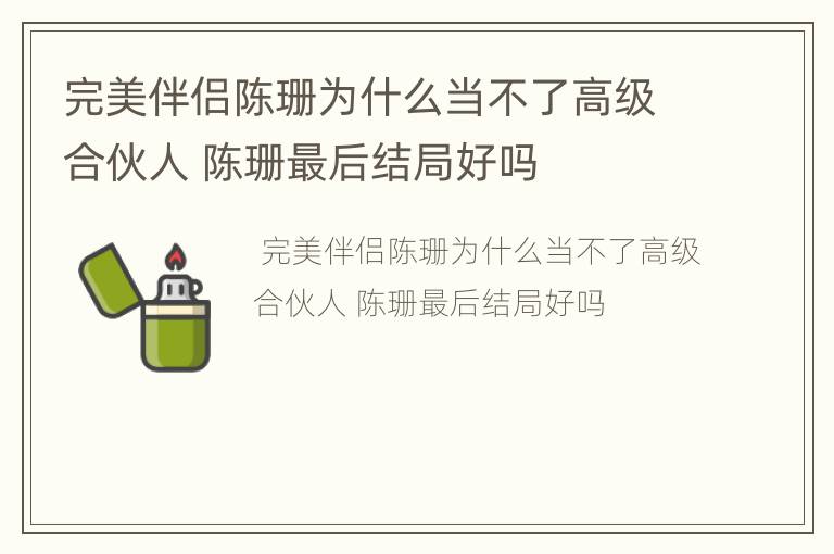 完美伴侣陈珊为什么当不了高级合伙人 陈珊最后结局好吗