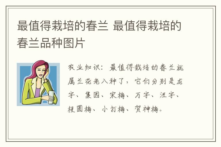 最值得栽培的春兰 最值得栽培的春兰品种图片