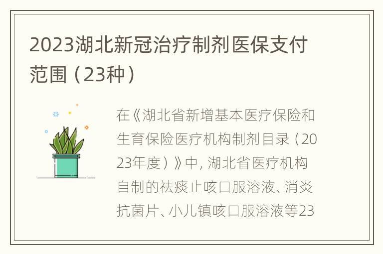 2023湖北新冠治疗制剂医保支付范围（23种）