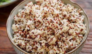 藜麦怎么做成干饭 藜麦如何做成干饭