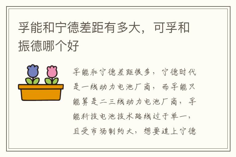 孚能和宁德差距有多大，可孚和振德哪个好
