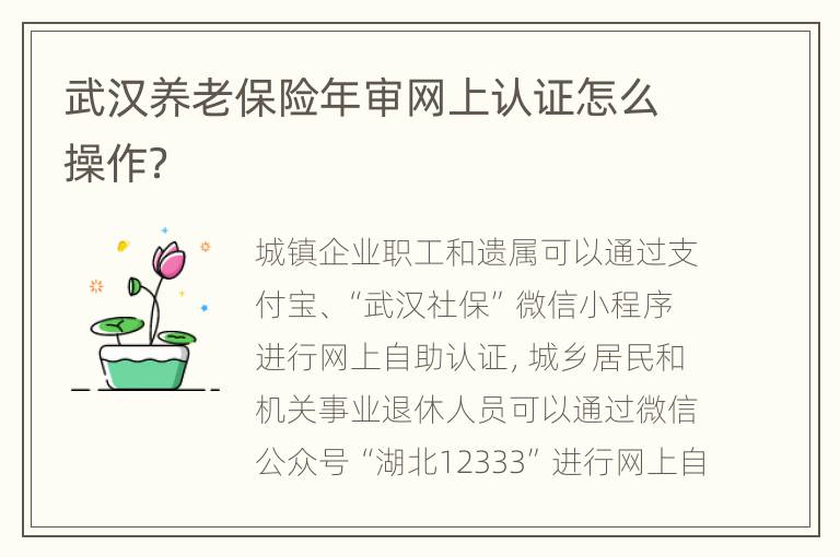武汉养老保险年审网上认证怎么操作？
