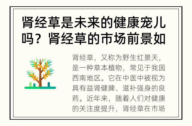 肾经草是未来的健康宠儿吗？ 肾经草的市场前景如何？