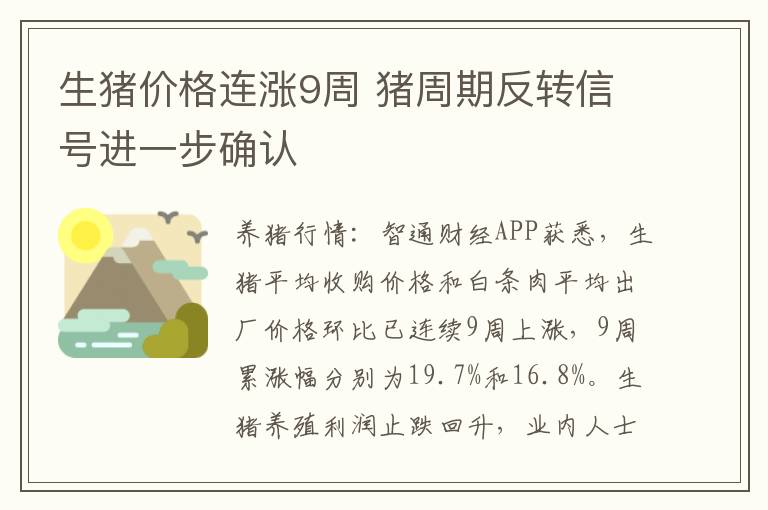 生猪价格连涨9周 猪周期反转信号进一步确认