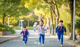 教育学中的导生制是什么意思 教育学中的导生制的解释