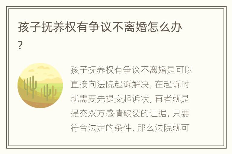 孩子抚养权有争议不离婚怎么办？