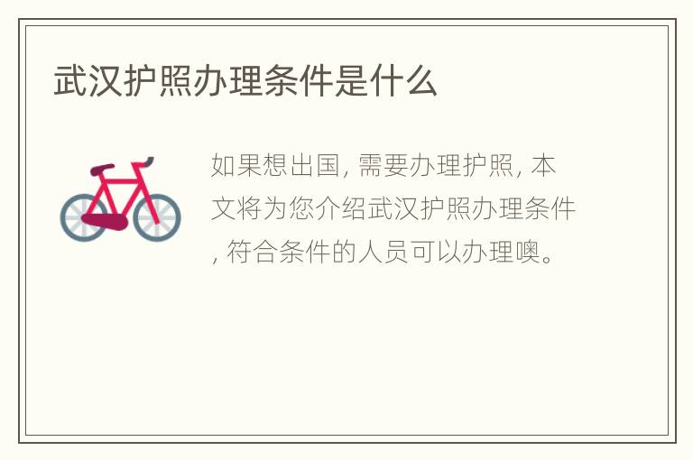 武汉护照办理条件是什么