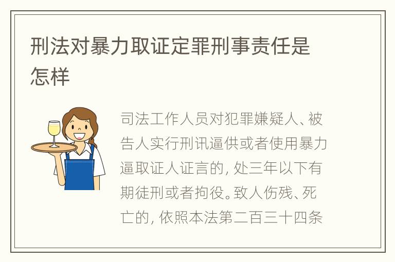 刑法对暴力取证定罪刑事责任是怎样