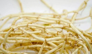 鱼腥草副作用与禁忌 鱼腥草可以长期食用吗