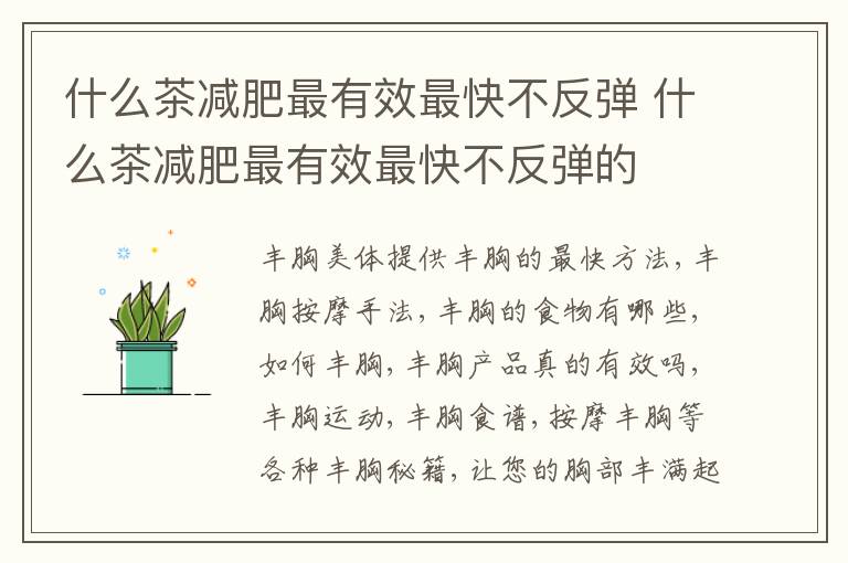 什么茶减肥最有效最快不反弹 什么茶减肥最有效最快不反弹的