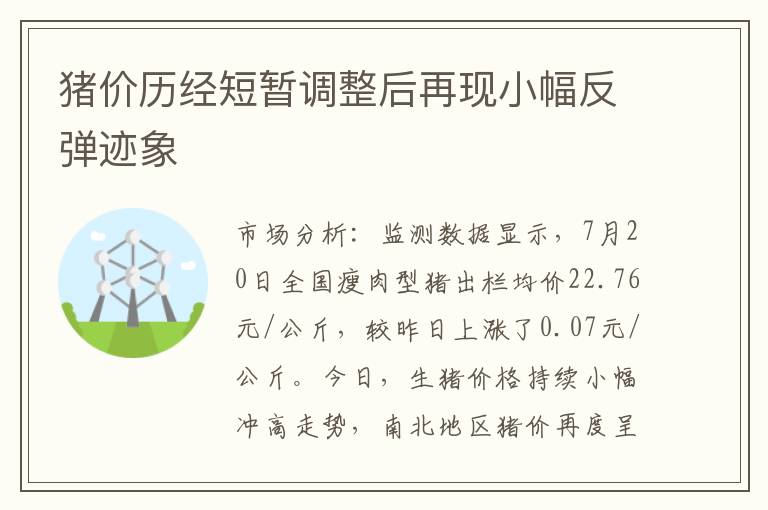猪价历经短暂调整后再现小幅反弹迹象