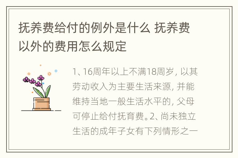抚养费给付的例外是什么 抚养费以外的费用怎么规定