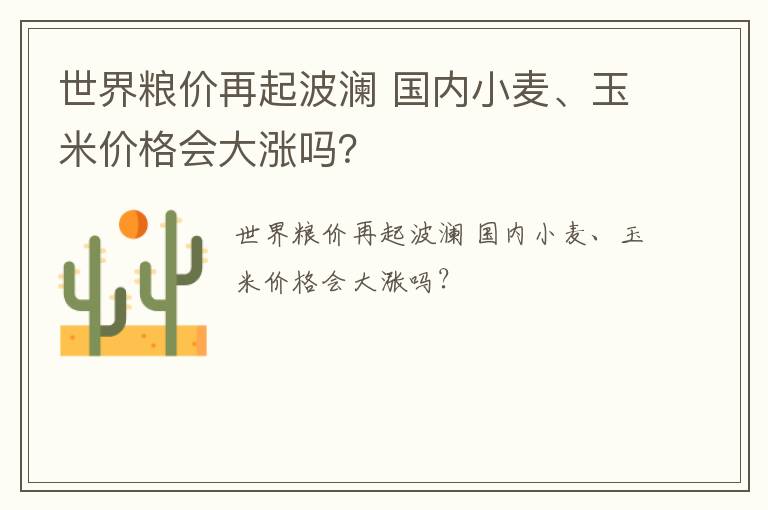 世界粮价再起波澜 国内小麦、玉米价格会大涨吗？