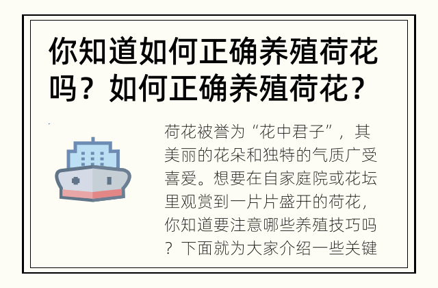 你知道如何正确养殖荷花吗？ 如何正确养殖荷花？