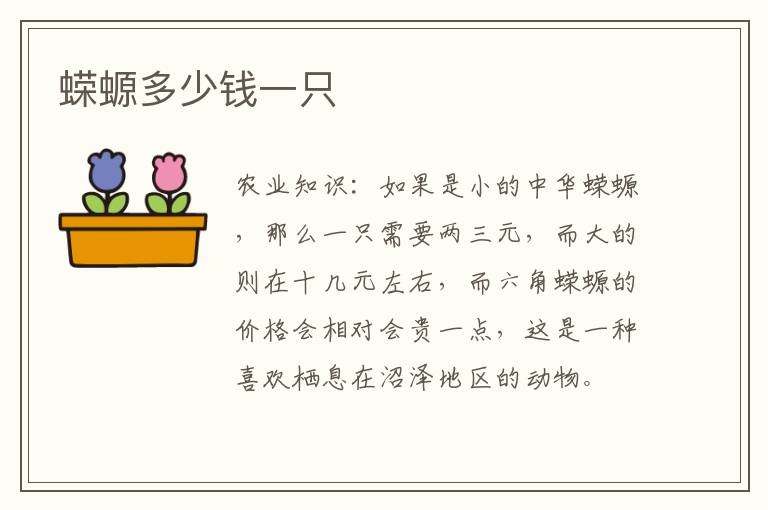 蝾螈多少钱一只