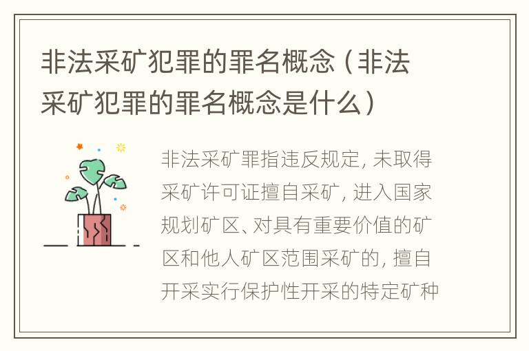 非法采矿犯罪的罪名概念（非法采矿犯罪的罪名概念是什么）