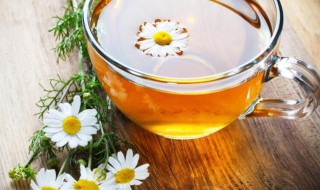 菊花柠檬茶 菊花柠檬茶简单介绍