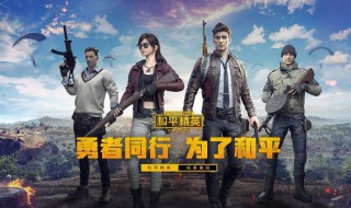 怎么弄国服标志和平精英 怎么弄国服标志和平精英的logo