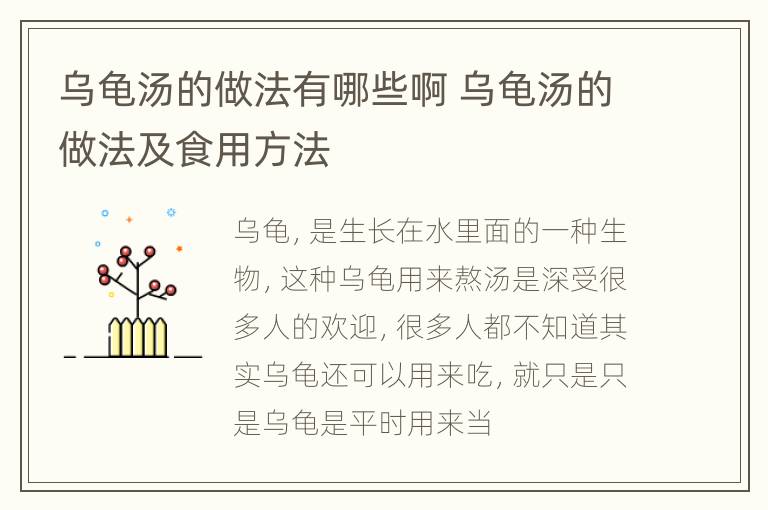 乌龟汤的做法有哪些啊 乌龟汤的做法及食用方法