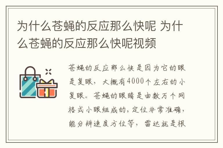 为什么苍蝇的反应那么快呢 为什么苍蝇的反应那么快呢视频