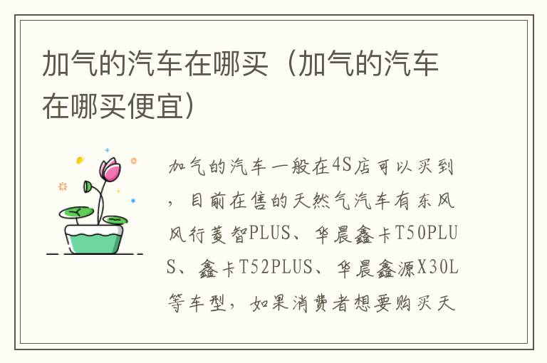 加气的汽车在哪买（加气的汽车在哪买便宜）