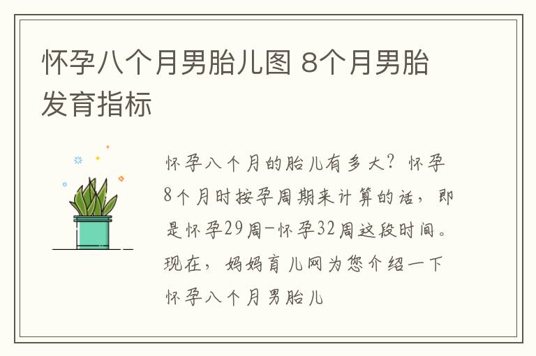 怀孕八个月男胎儿图 8个月男胎发育指标