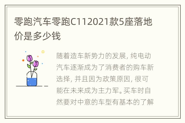 零跑汽车零跑C112021款5座落地价是多少钱