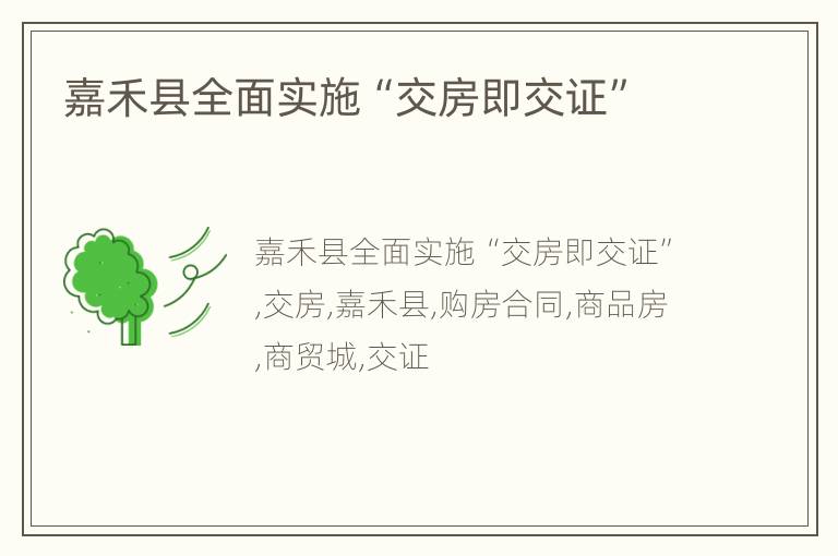 嘉禾县全面实施“交房即交证”