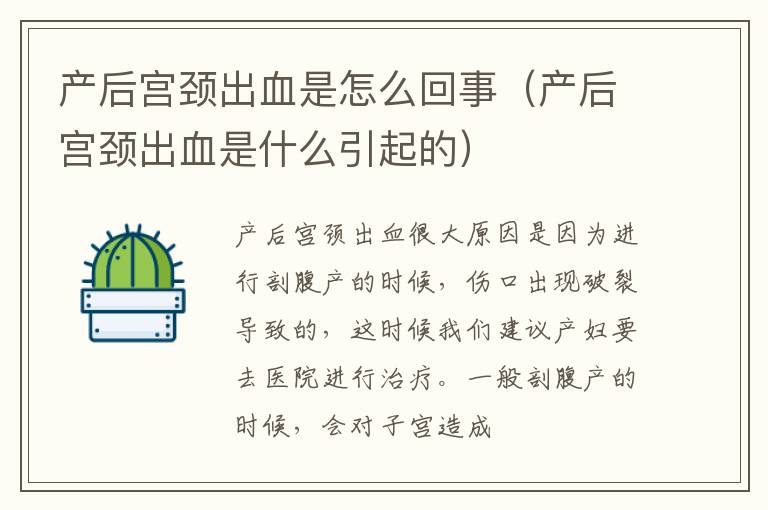 产后宫颈出血是怎么回事（产后宫颈出血是什么引起的）
