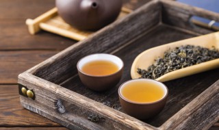 茶叶种植养护方法（茶叶种植步骤）