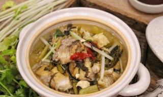 鸡肉炖雪菜怎么做 雪菜炖鸡的做法