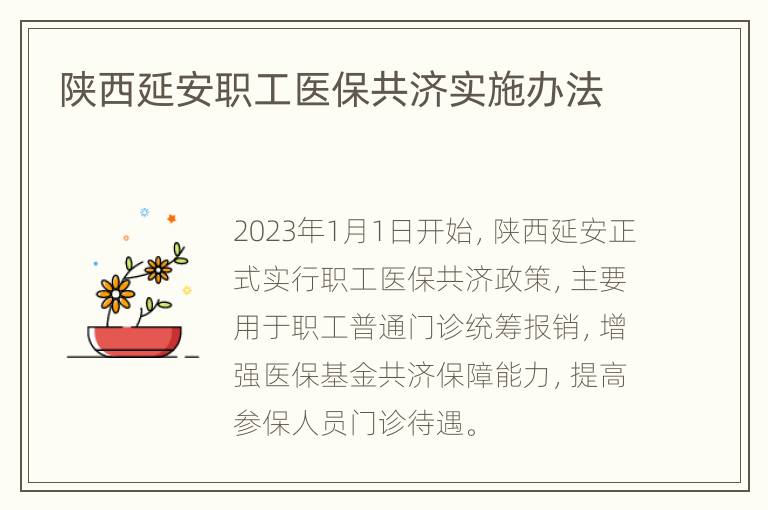 陕西延安职工医保共济实施办法
