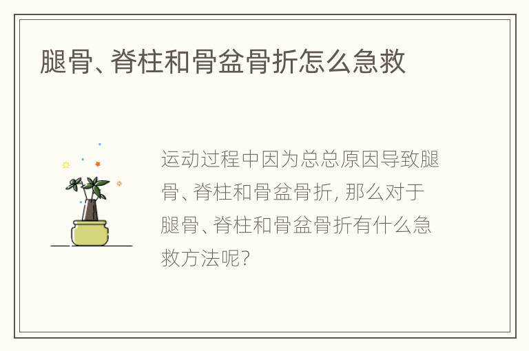 腿骨、脊柱和骨盆骨折怎么急救