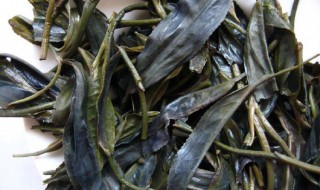 紫娟茶的功效与作用 紫娟茶的益处介绍