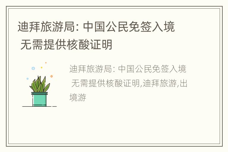 迪拜旅游局：中国公民免签入境 无需提供核酸证明