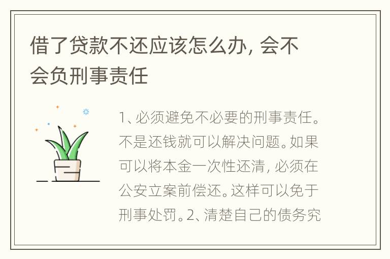 借了贷款不还应该怎么办，会不会负刑事责任
