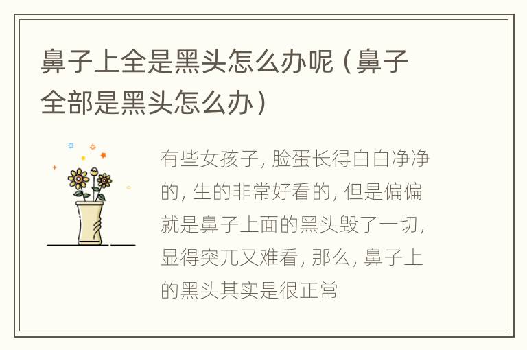 鼻子上全是黑头怎么办呢（鼻子全部是黑头怎么办）