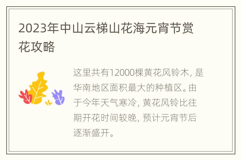 2023年中山云梯山花海元宵节赏花攻略