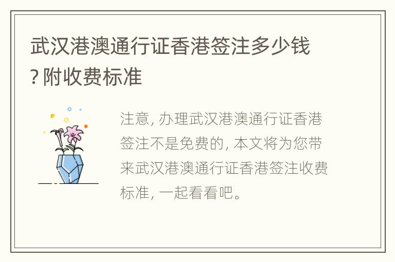 武汉港澳通行证香港签注多少钱？附收费标准