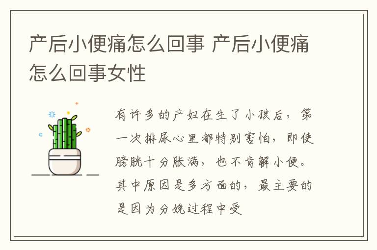 产后小便痛怎么回事 产后小便痛怎么回事女性