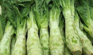 莴苣和莴笋是一样的吗 莴笋和莴苣是否同一种菜
