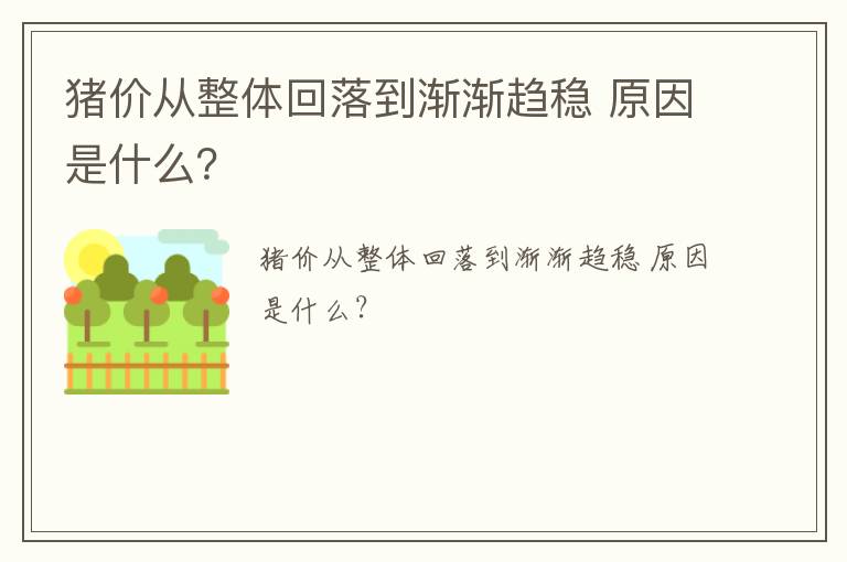 猪价从整体回落到渐渐趋稳 原因是什么？