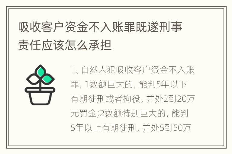 吸收客户资金不入账罪既遂刑事责任应该怎么承担